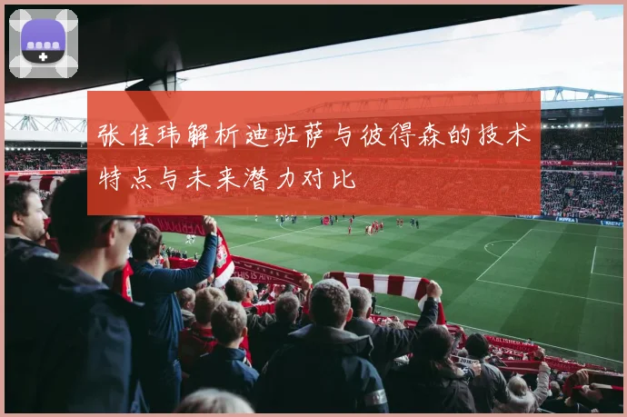 张佳玮解析迪班萨与彼得森的技术特点与未来潜力对比
