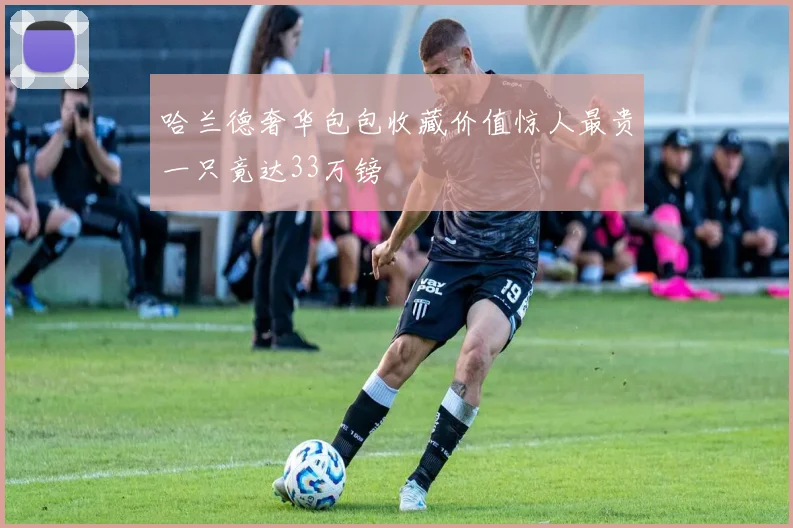 哈兰德奢华包包收藏价值惊人最贵一只竟达33万镑