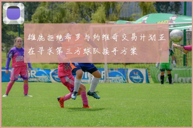 雄鹿拒绝希罗与约维奇交易计划正在寻求第三方球队接手方案